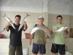 Equipe Gergia - pescaria em 21/11