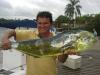 Melo - Pescaria em 16/01 - Dourado de 7 kg