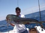 Equipe Ti�o Gavi�o - Dourado de 14 kg - pescaria em 10/12