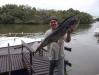 Equipe Tio Gavio - Dourado de 14 kg - pescaria em 10/12