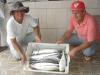 Equipe Gabiana - Pescaria em 26/12