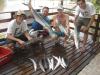 Equipe Albatroz - Pescaria em 30/01