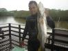 Equipe Robinho - Pescaria em 29/10 - Robalo de 3,5 kg no mergulho