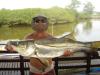 Equipe Araponga - Pescaria em 21/02 - Robalo de 08 kg