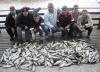 Pessoal de Curitiba em pescaria noturna com o Guia de Pesca Gerson - 320 anchovas em 22/06