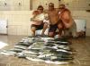 Equipe MBV