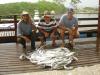 Equipe Tijol - Pescaria em 09/01
