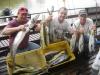 Equipe Happy Day - Pescaria em 16/02