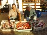 Equipe Gabiana - Pescaria em 20/04 pelo campeonato