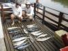 Equipe Guigas - Pescaria em 15/03