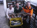 Equipe Aquarius - Pescaria em 19/04 pelo campeonato
