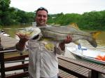 Ramon - Robalo de 12 kg fisgado em 31/01/2015