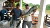 Equipe M32 do Clube do Barco - Pescaria em 04/02