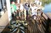 Equipe M41 do Clube do Barco - Pescaria em 07/06