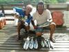 Equipe M11 do Clube - Pescaria em 14/01
