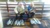 Equipe Lanz Marlin - Pescaria em 06/04