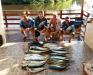 Equipe M41 do Clube do Barco - Pescaria em 17/04