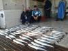 Equipe Pirueta - Pescaria em 15/Jun - campeonato