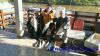 Equipe M5 do Clube - Pescaria em 23/jun