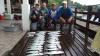 Equipe M43 do Clube - Pescaria em 15/Jun