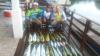 Equipe M43 do Clube - Pescaria em 24/Jun