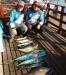 Equipe Lanz Marlin - Pescaria em 20/Set