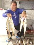 Kiko - O Rei dos Robalos
