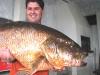 Equipe Fabinho - Caranhas de 25, 22 e 19 kg - 28/06