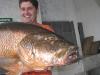 Equipe Fabinho - Caranhas de 25, 22 e 19 kg - 28/06