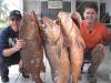 Equipe Fabinho - Caranhas de 25, 22 e 19 kg - 28/06