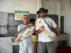 Equipe Adolin - Pescaria em 29/12 - Destaque !!!!