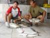 Equipe Peixotina - Campe da 1 etapa do campeonato - 18/01