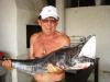 Paulinho Cavalo - pescaria em 24/01 - Cavala wahoo de 8,2 kg