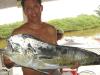 Charles - dourado de 10 kg - pescaria em 07/02