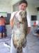 Fabinho - Prejereba de 8,5 kg