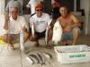 Equipe Albatroz - pescaria em 23/02