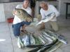 Equipe Albatroz - pescaria em 29/03