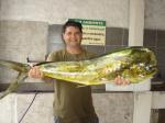 Equipe Georgia II - Dourado de 8,5 kg - pescaria em 03/04