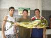 Equipe Georgia II - Dourado de 8,5 kg - pescaria em 03/04