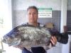 Kiko - prejereba de 5 kg