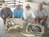 Luiz Paulo, Cidinei, Edgar e Zonta - pescaria em 30/06