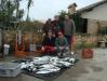 Equipe Quebra Tigela - Pescaria em Itapirub em 22/08 - 142 anchovas
