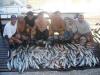 Pescaria noturna em Maio/12 –  Postado em  04/05/2013 por 1