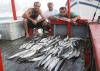 Pescaria família Pavanello - Dez/07 - Total 88 bicudas !!!!! –  Postado em  07/01/2008 por Marina Bela Vista
