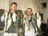 Charles e Jean - muitas anchovas na pescaria em 24/05